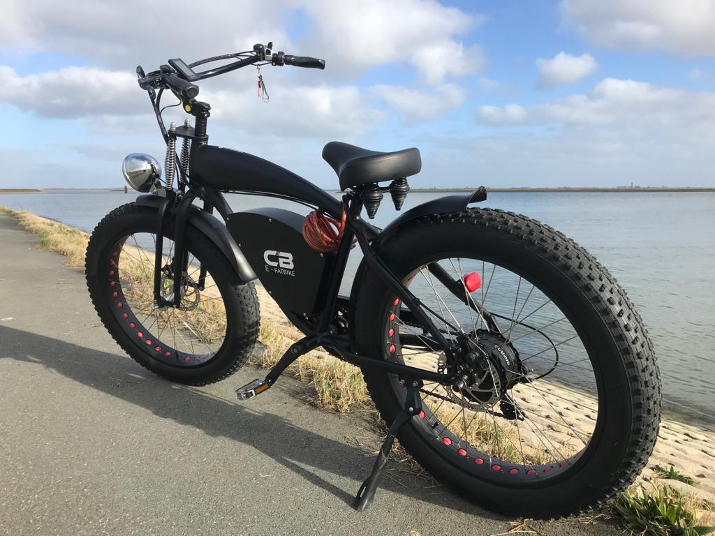 Vintage Beach Cruiser E-bike