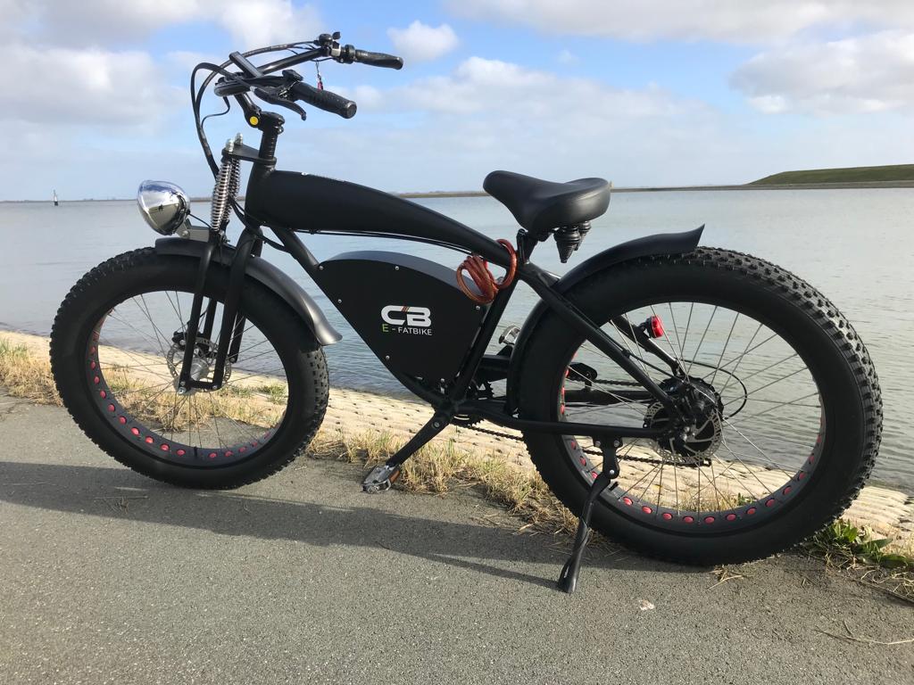 Vintage Beach Cruiser E-bike