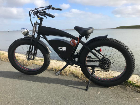 Vintage Beach Cruiser E-bike